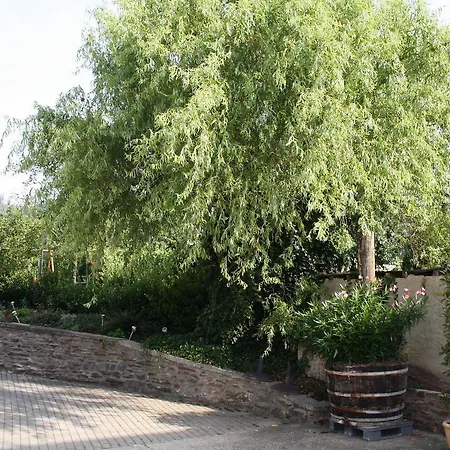 Weinhof Gassen
